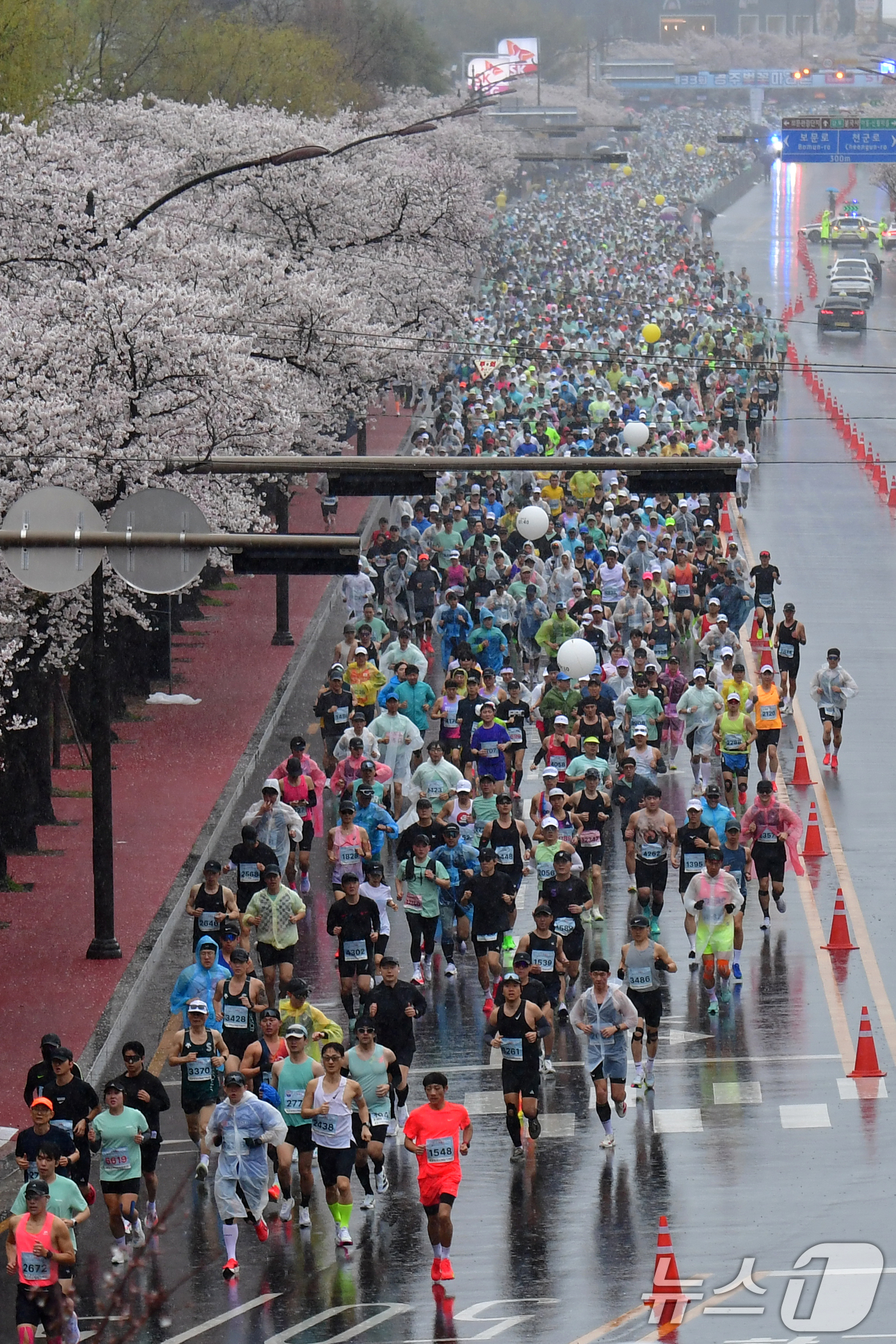 (경주=뉴스1) 최창호 기자 = 4일 경북 경주시 보문단지에서 열린 제33회 경주벚꽃미라톤 대회에서 참가자들이 출발 신호에 맞춰 힘차게 달리고 있다. 2026.4.4/뉴스1