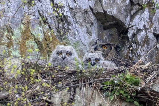 눈망울이 초롱초롱