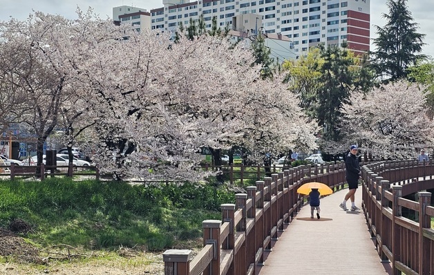 [오늘의 날씨] 광주·전남(5일, 일)…아침기온 4~6도 '뚝'