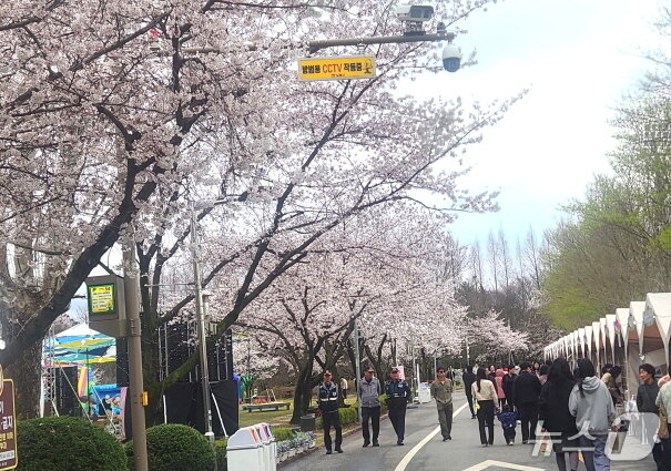 본문 이미지 - 김제꽃빛드리축제를 즐기고 있는 시민들./뉴스1