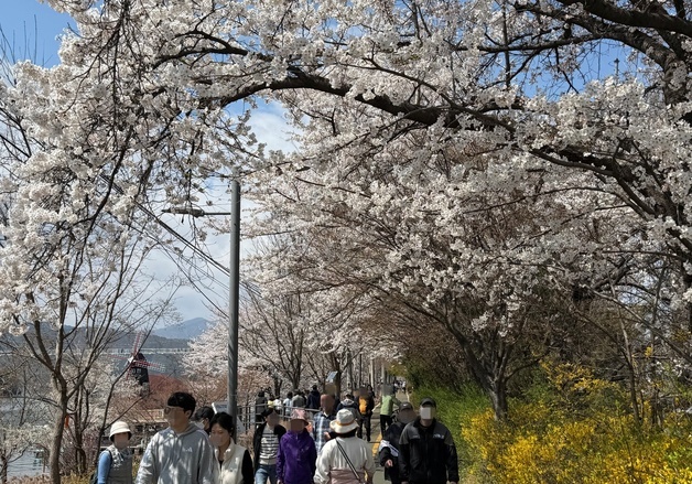 [오늘의 날씨] 강원(5일, 일)…일교차 크고, 짙은 안개 주의