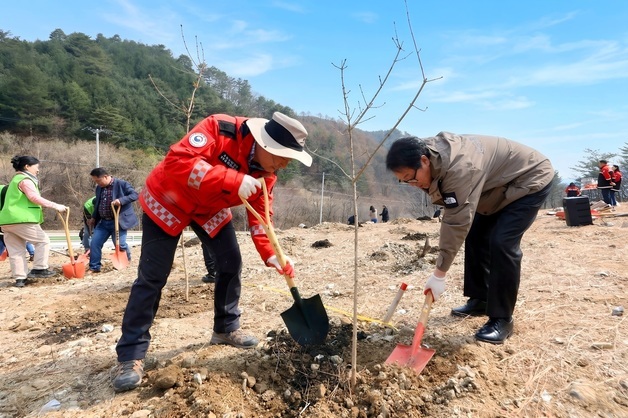 인제군, 제81회 나무심기 행사