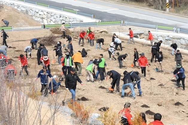 인제군, 제81회 나무심기 행사