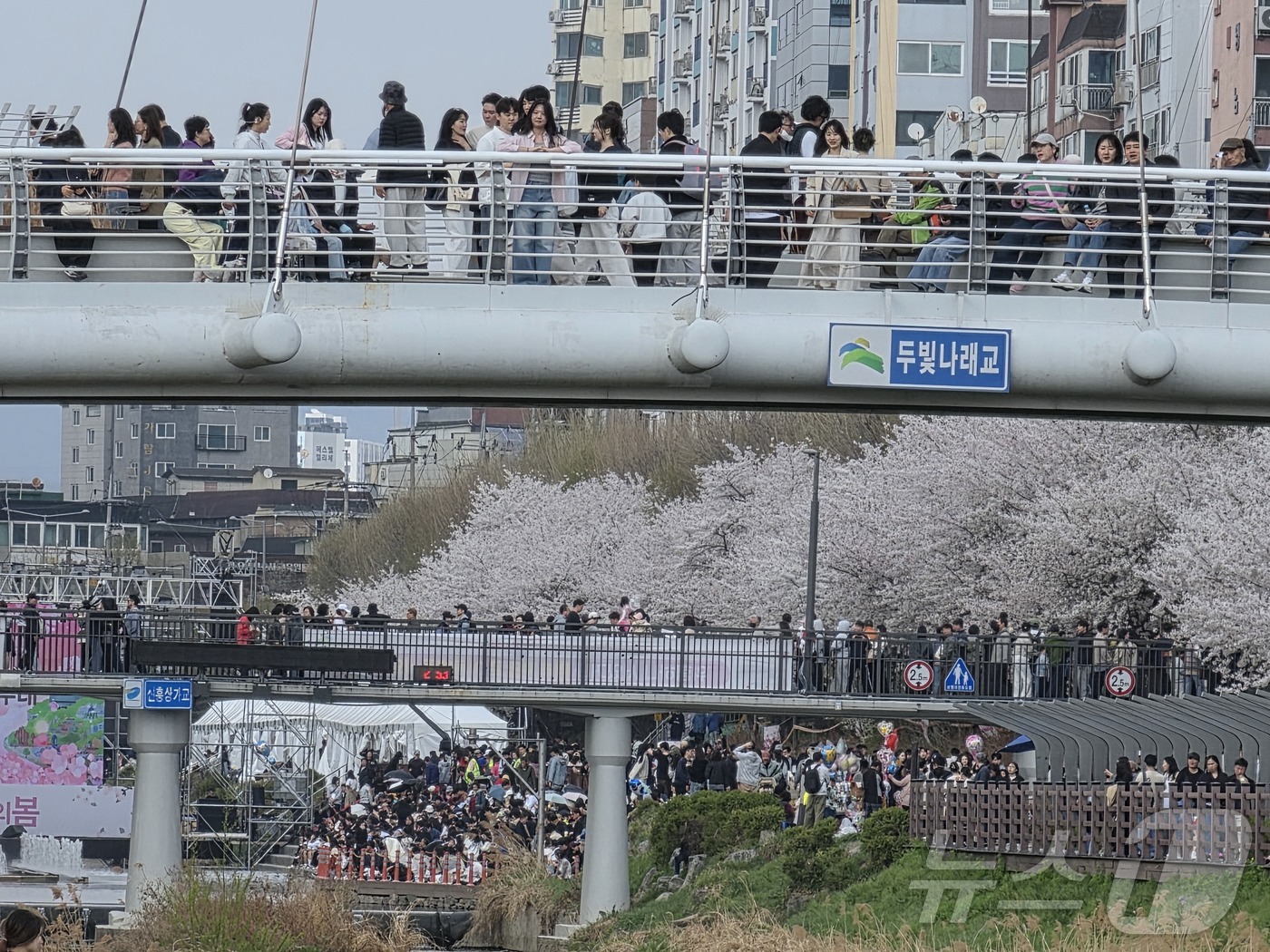 (서울=뉴스1) 황덕현 기후환경전문기자 = 4일 서울 은평구 불광천 벚꽃 축제 '은평의 봄'에 봄맞이 나온 시민들이 몰려있다. 2026.4.4/뉴스1