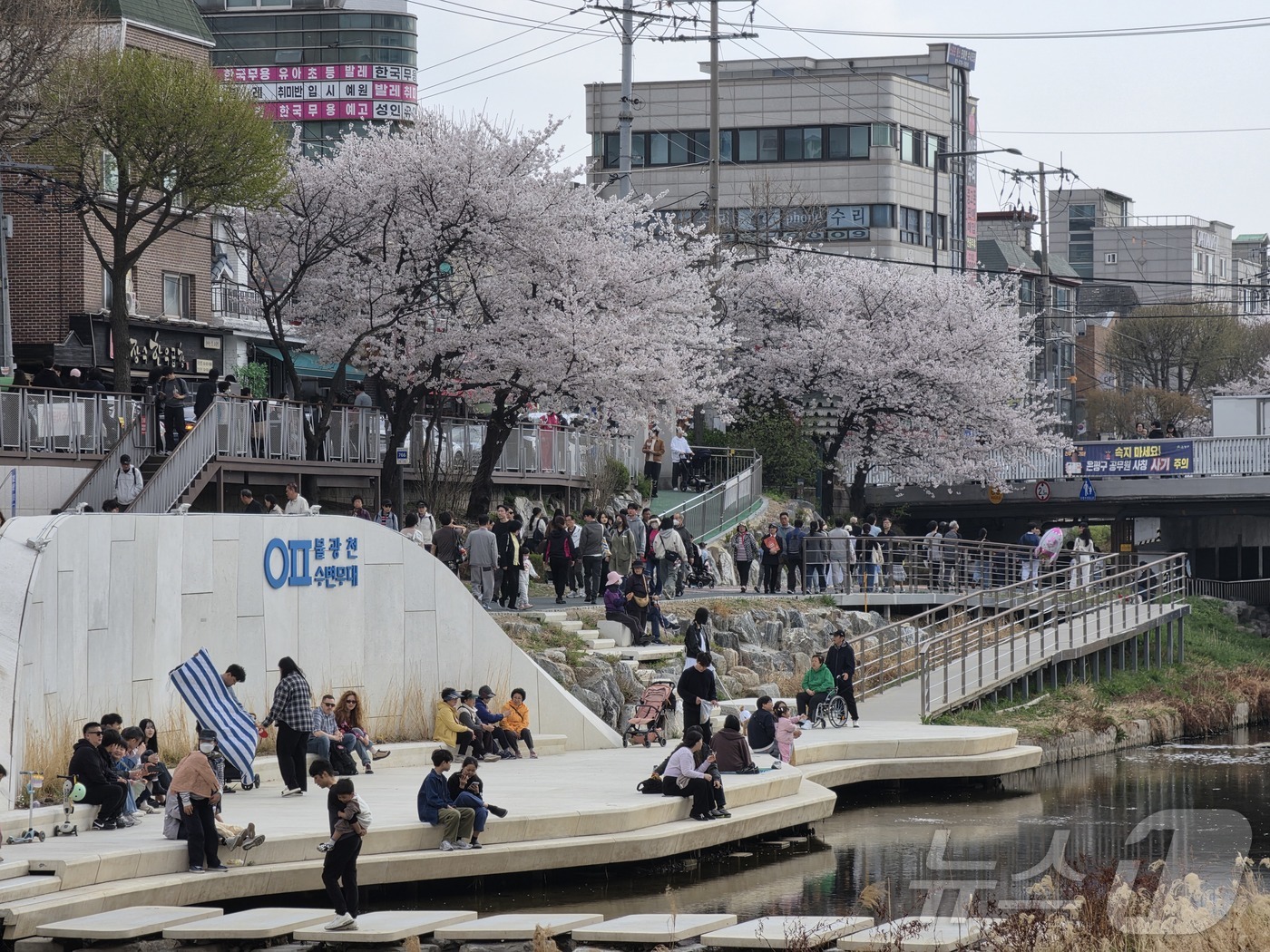 (서울=뉴스1) 황덕현 기후환경전문기자 = 4일 서울 은평구 불광천 벚꽃 축제 '은평의 봄'에 봄맞이 나온 시민들이 몰려있다. 2026.4.4/뉴스1