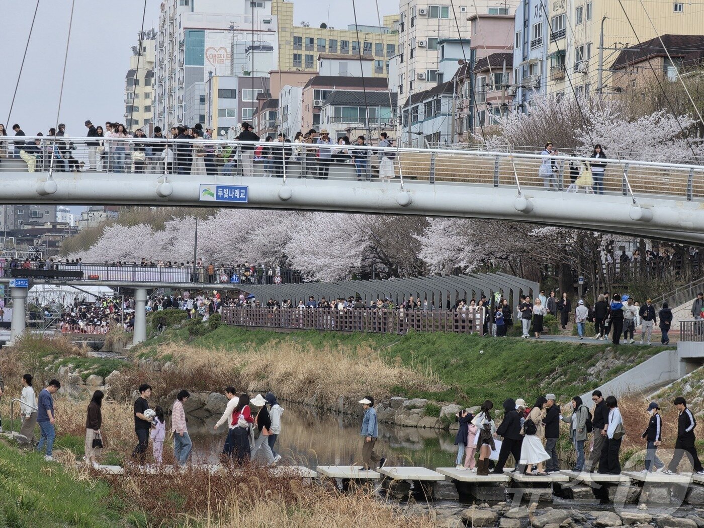 본문 이미지 - 4일 서울 은평구 불광천 벚꽃 축제 '은평의 봄'에 봄맞이 나온 시민들이 몰려있다. 2026.4.4 ⓒ 뉴스1 황덕현 기후환경전문기자