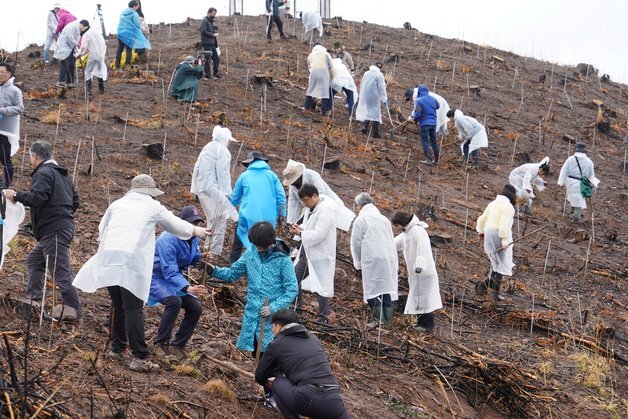 "범국민 나무심기 관심을"…산림청장, 산불피해지 나무심기 동참