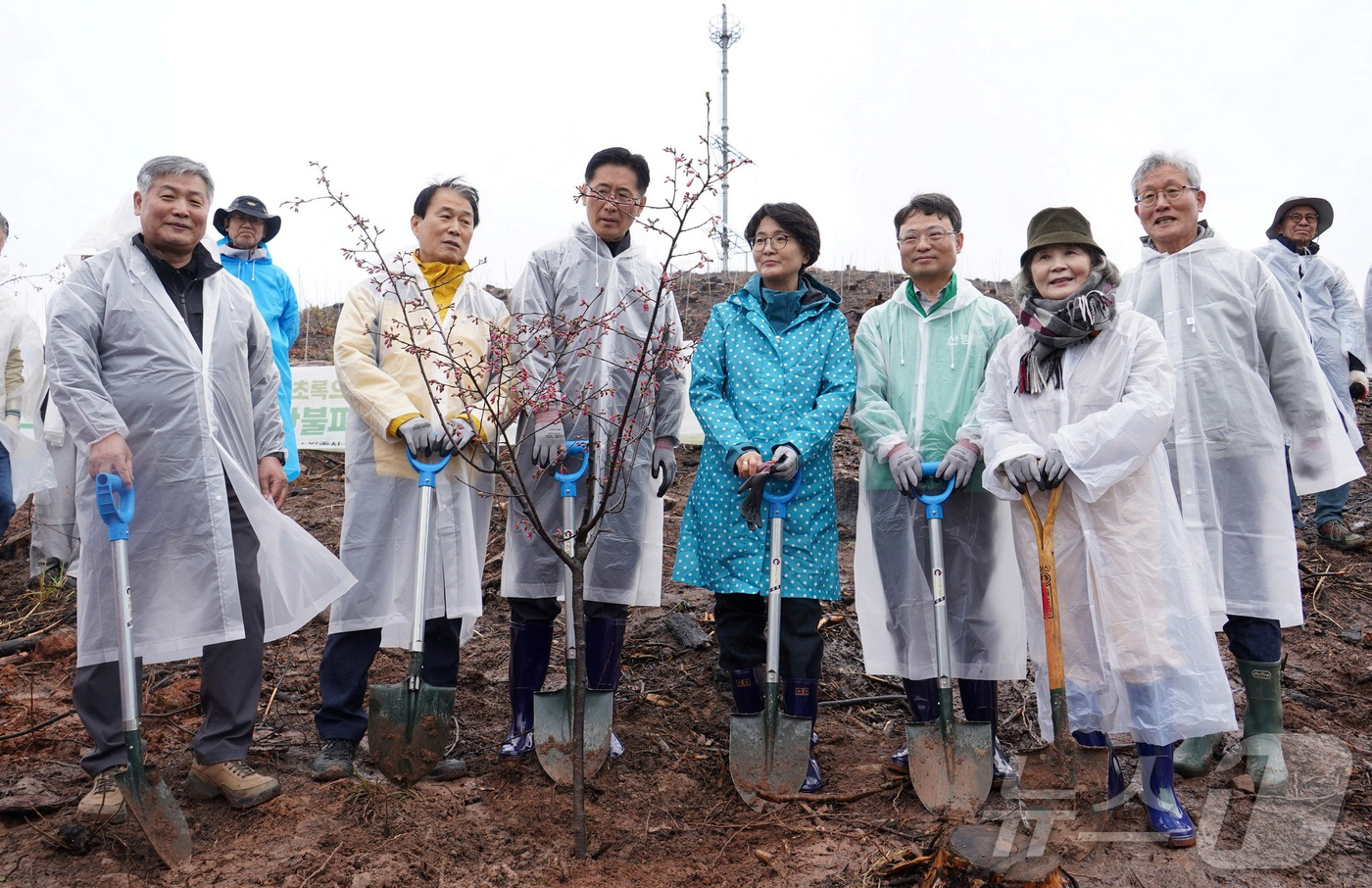 (안동=뉴스1) = 박은식 산림청장, 임미애 국회의원, 황명석 경상북도지사 권한대행과 지역 주민들이 4일 경상북도 안동 산불피해지에서 나무심기 행사 기념사진을 촬영하고 있다. (산 …
