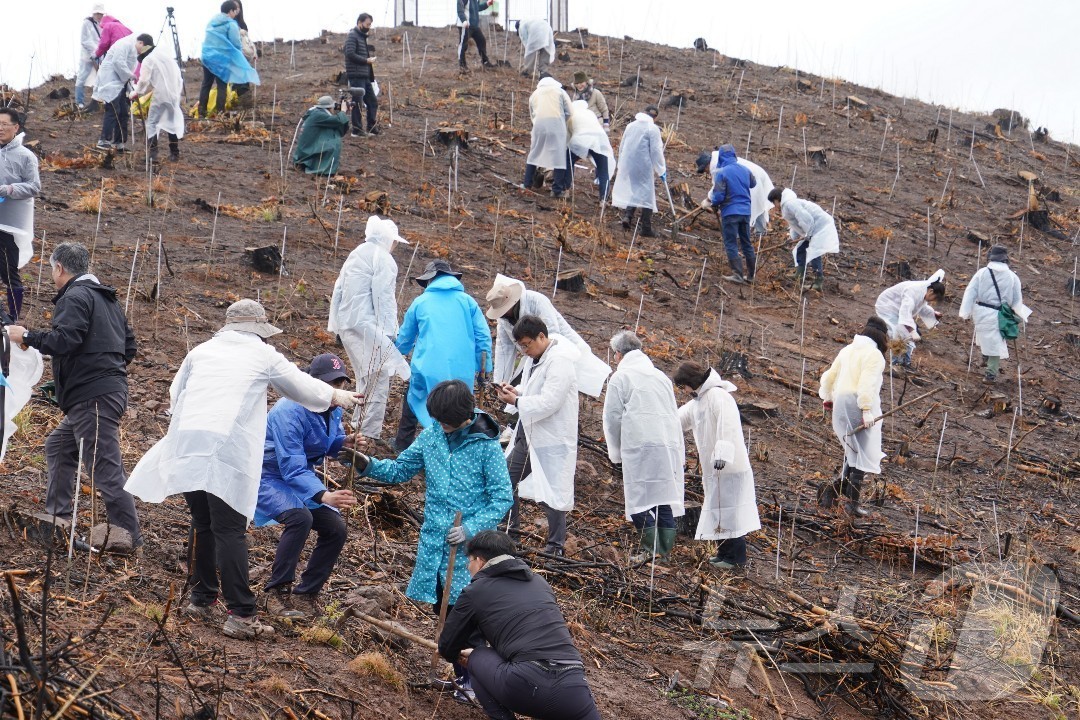 (대전=뉴스1) 김기태 기자 = 박은식 산림청장이 4일 경북 안동시 풍천면 일원에서 열린 산불피해지 나무심기 행사에 참석해 나무를 심고 있다.이날 행사에는 권오을 국가보훈부장관, …