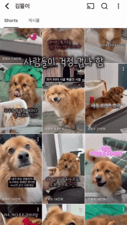 본문 이미지 - 누나랑 함께라 행복한 '똘이'(인스타그램 kim_ddori__ 제공) ⓒ 뉴스1