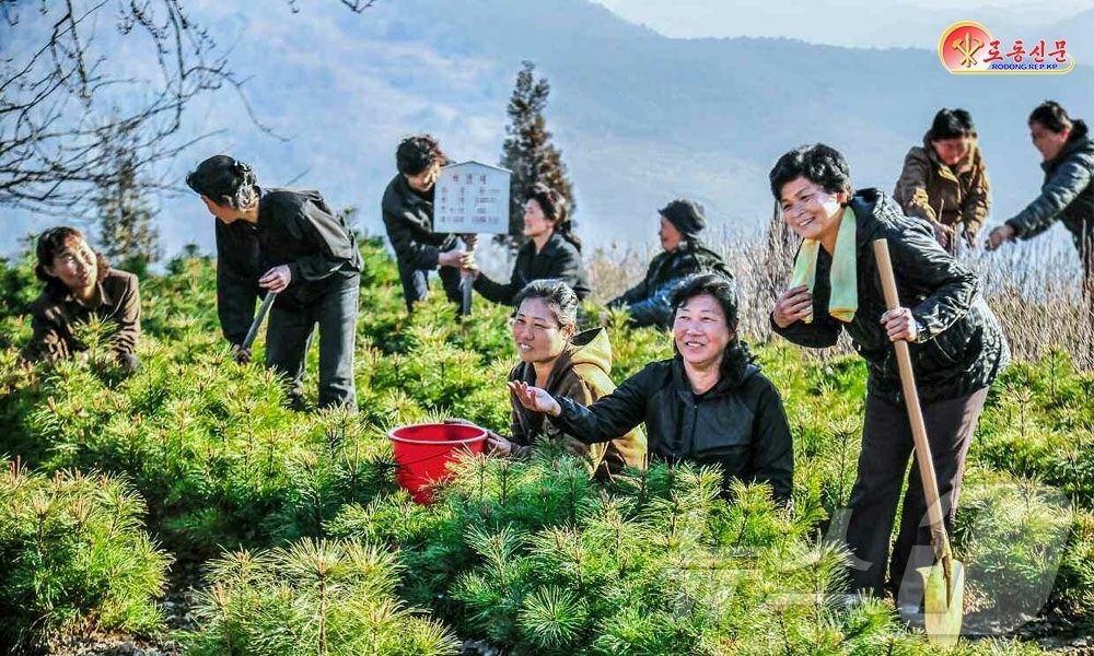 (평양 노동신문=뉴스1) = 북한 노동당 기관지 노동신문은 5일 "북창군 회안역~덕천시 남덕역 일대의 수려한 산발에는 산림복구 사업이 시작된 후 새로 생겨난 여러 개의 아카시아나무 …