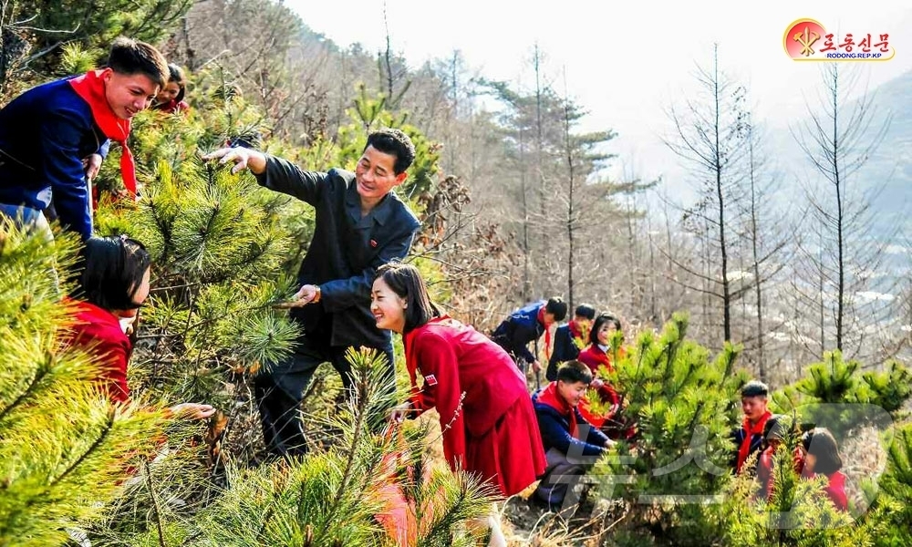 (평양 노동신문=뉴스1) = 북한 노동당 기관지 노동신문은 5일 "열렬한 조국애, 향토애는 푸른 숲의 진정한 주인을 키우는 자양이고 활력소"라며 "애국심의 열도만큼 나라의 산림이 …