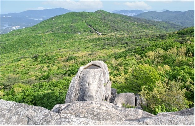"편백·벚나무 못 심어요"…'국립공원 승격' 금정산, 식목일 풍경 바뀐다