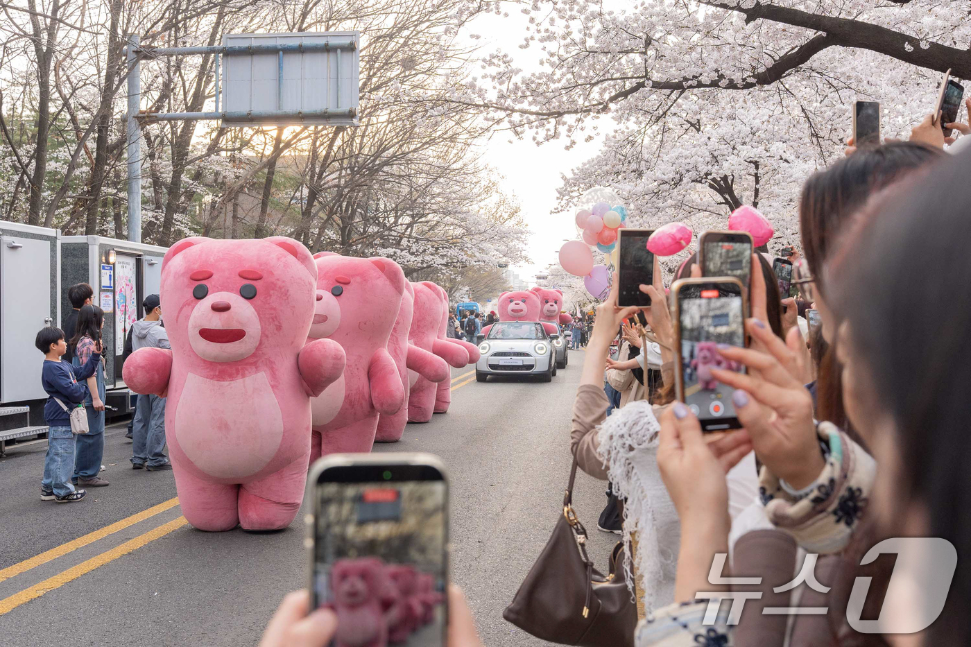 (서울=뉴스1) = 롯데홈쇼핑 자체 캐릭터 '벨리곰'이 지난 3일 2026 여의도 봄꽃축제가 열리는 여의도 윤중로 일대에서 차량을 타고 벚꽃길을 따라 카 퍼레이드를 진행하고 있다. …