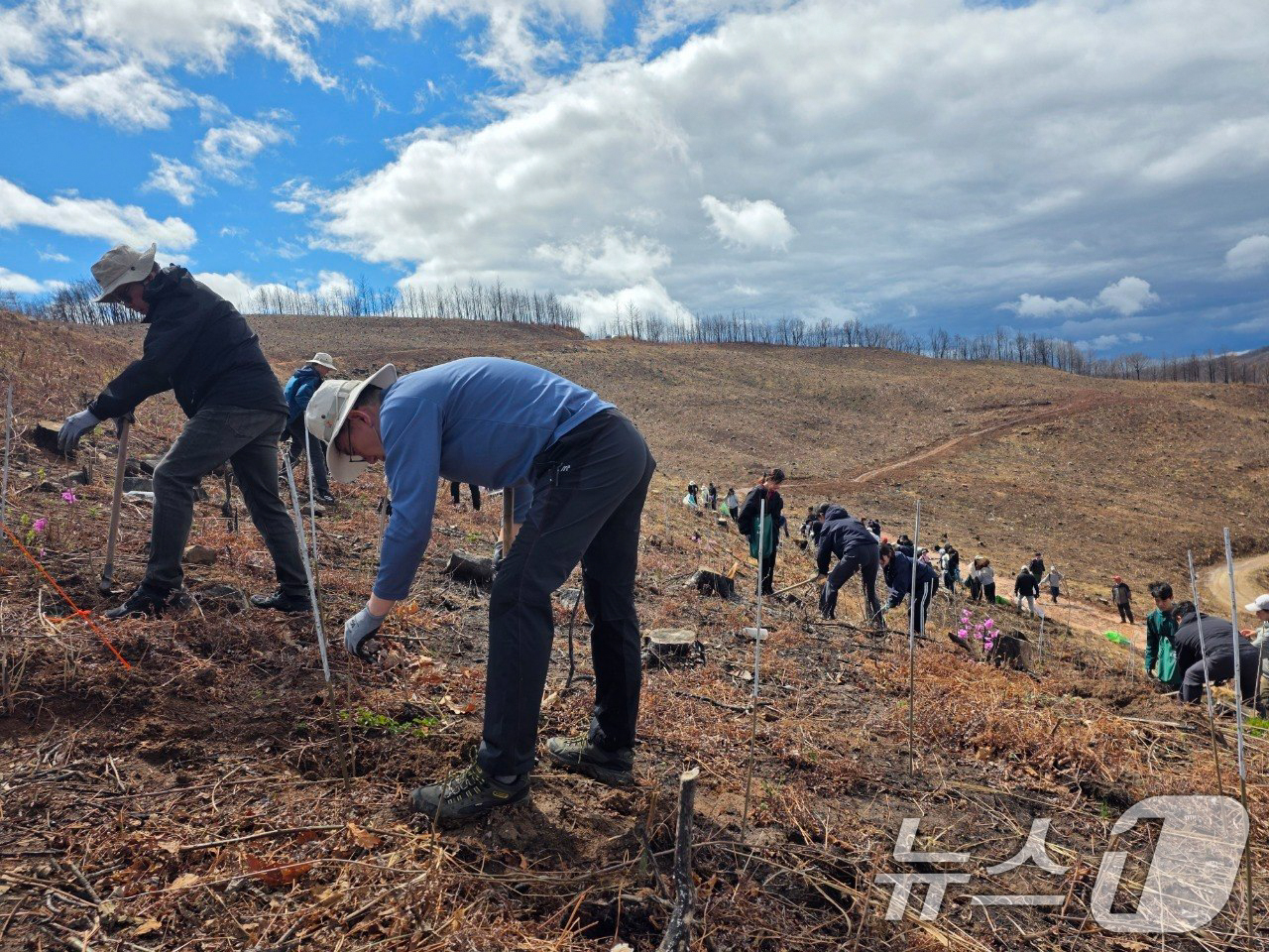(서울=뉴스1) = SK텔레콤은 유한킴벌리와 함께 지난 4일 안동시 풍천면 일대에서 '산불 피해지역 평화의숲 조성'을 위한 나무심기를 진행했다고 5일 밝혔다.행사에는 SKT와 유한 …
