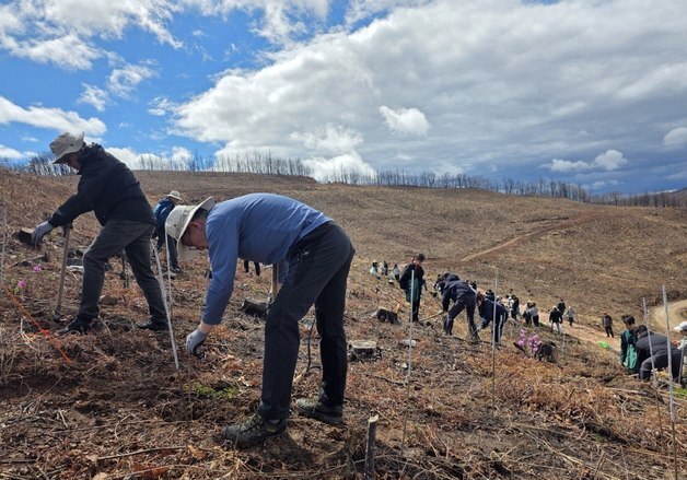 SKT·유한킴벌리, 안동 산불 피해 복원 협력
