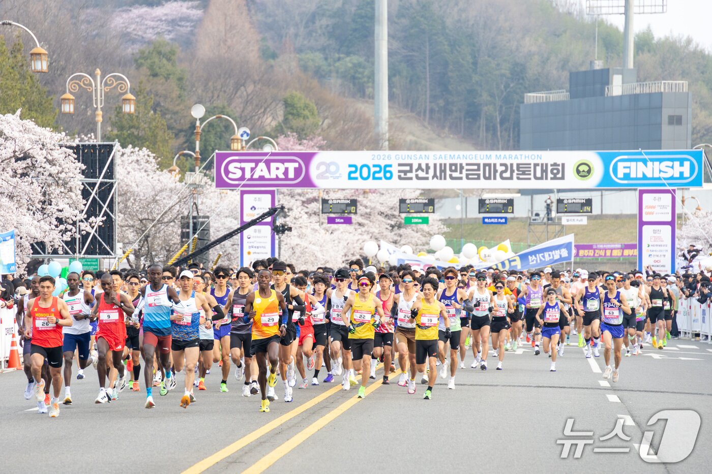 본문 이미지 - '2026 군산새만금마라톤대회'에 출전한 선수들이 출발하고 있다.(군산시 제공. 재판매 및 DB금지)
