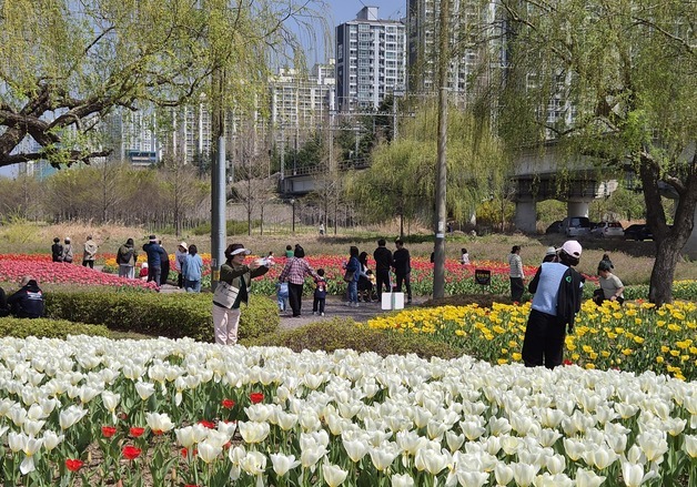"벚꽃 흩날리고 튤립 만개"…식목일 맞은 부산, 곳곳 상춘객 행렬
