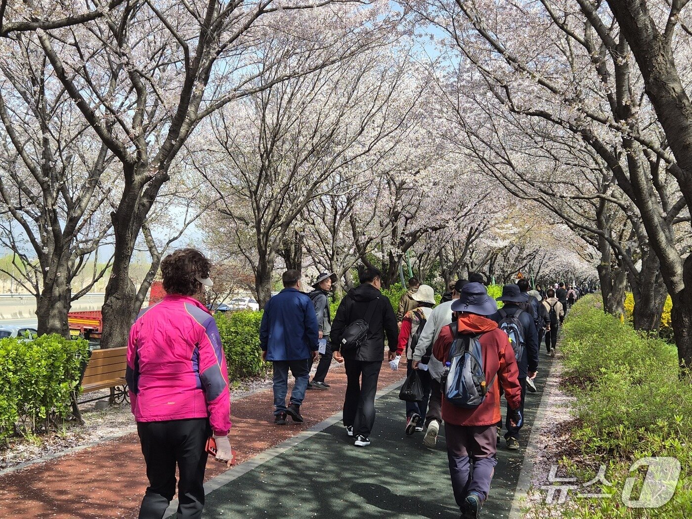 본문 이미지 - 부산 사상구 삼락생태공원 일대. 2026.4.5/뉴스1 ⓒ News1 임순택 기자