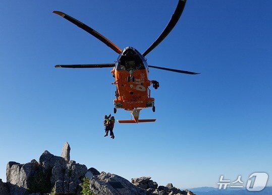 본문 이미지 - 강원도소방본부의 봄철 임산물 채취시기 안전사고 대응 활동 자료 사진. (강원도소방본부 제공. 재판매 및 DB금지) 2026.4.5/뉴스1