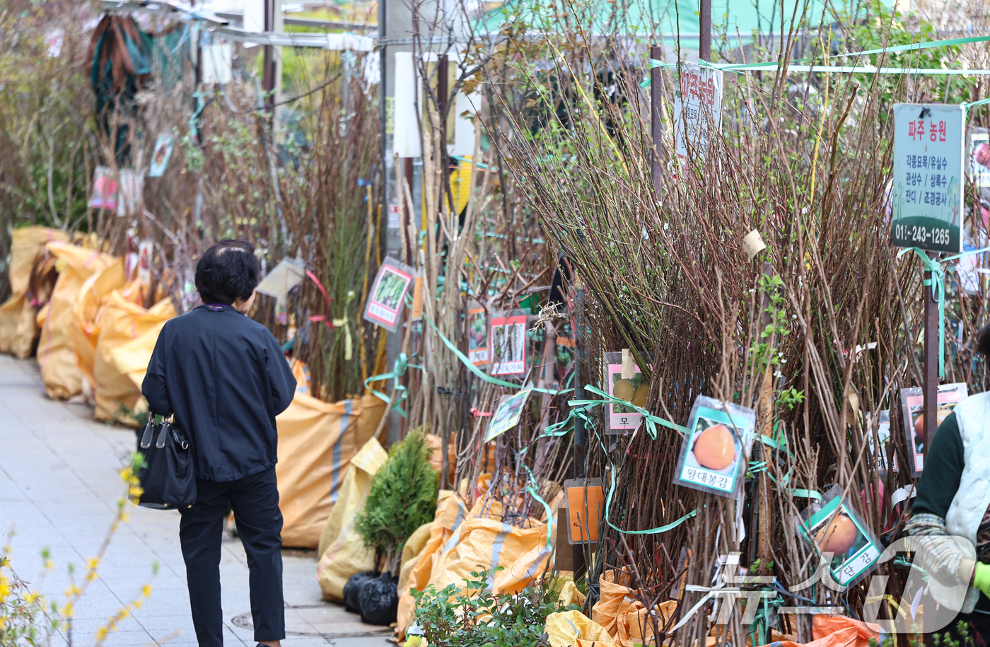 (서울=뉴스1) 김도우 기자 = 식목일인 5일 서울 종로꽃시장을 찾은 시민들이 묘목을 살펴보고 있다. 2026.4.5/뉴스1