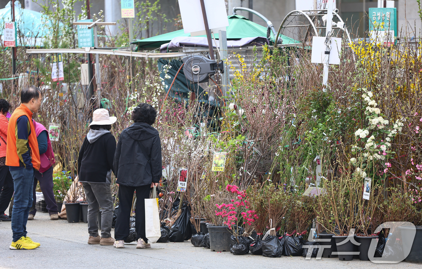 (서울=뉴스1) 김도우 기자 = 식목일인 5일 서울 종로꽃시장을 찾은 시민들이 묘목을 살펴보고 있다. 2026.4.5/뉴스1