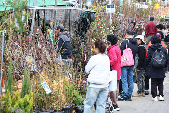 어떤 나무 심어 볼까?