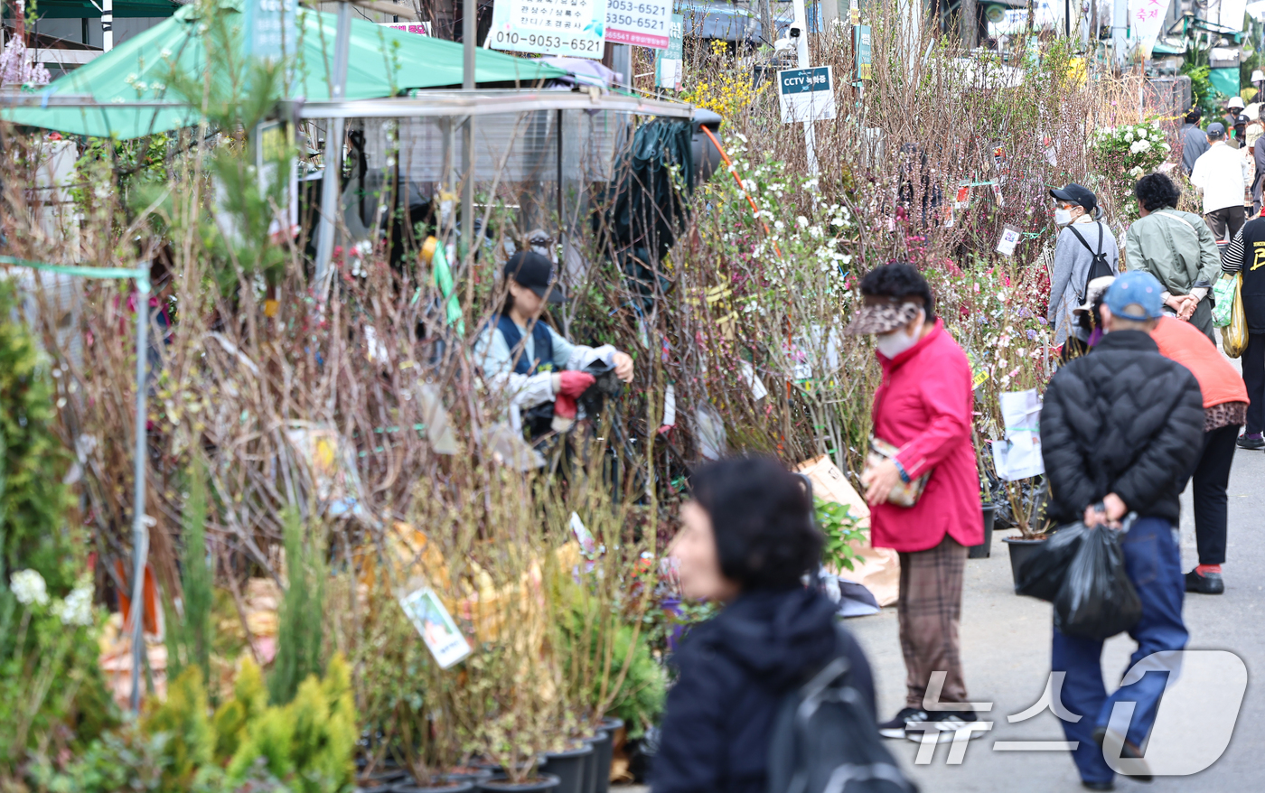 (서울=뉴스1) 김도우 기자 = 식목일인 5일 서울 종로꽃시장을 찾은 시민들이 묘목을 살펴보고 있다. 2026.4.5/뉴스1