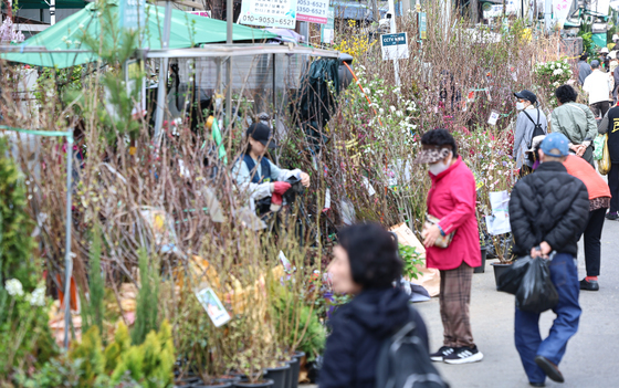 어떤 나무 심어 볼까?