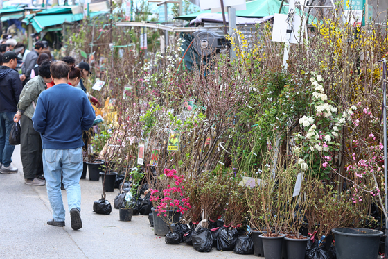 어떤 나무 심어 볼까?