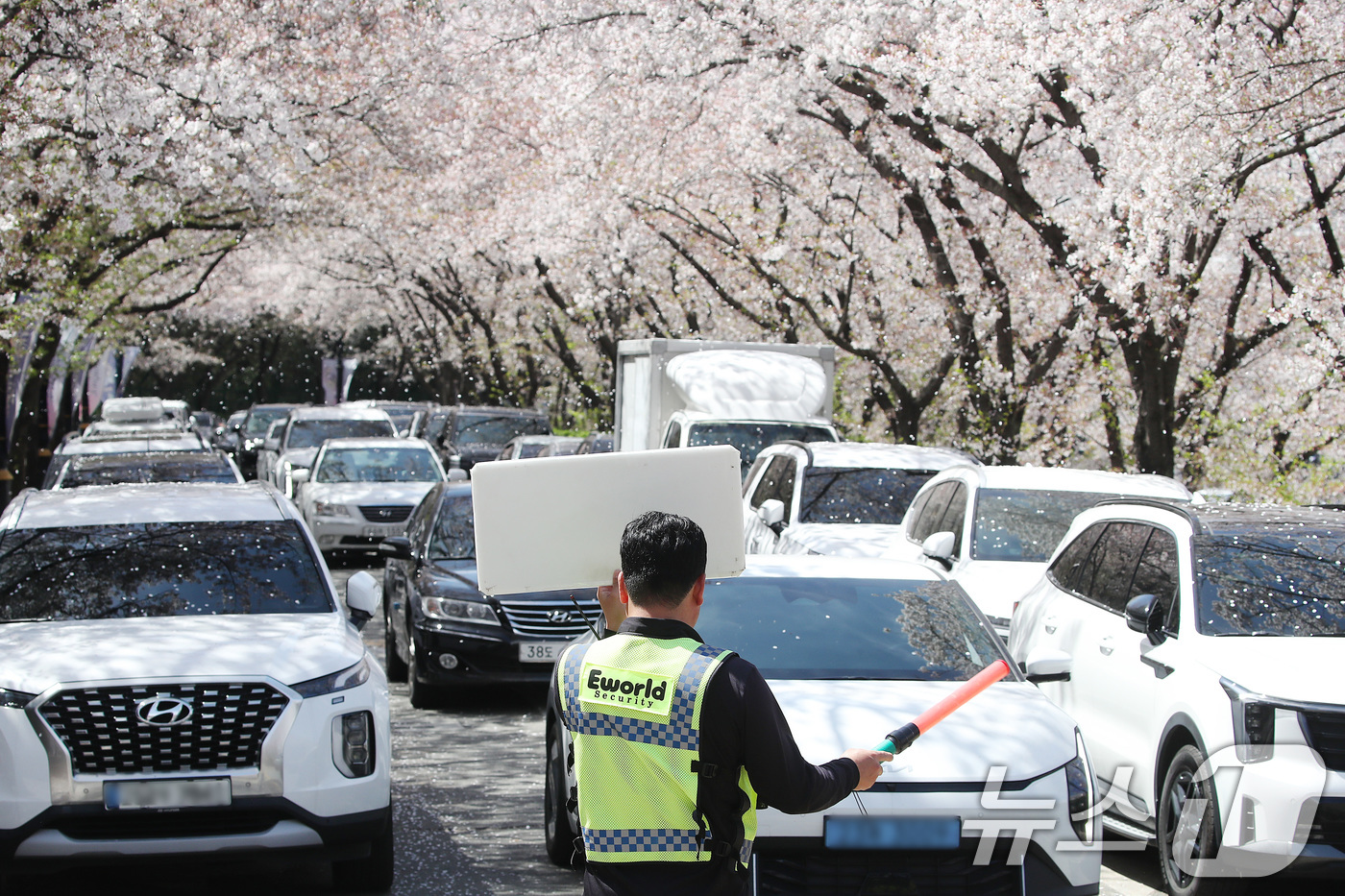 (대구=뉴스1) 공정식 기자 = 벚꽃이 어느새 막바지에 다다른 5일 대구 달서구 테마파크 이월드 83타워 진입로가 상춘객 차량으로 밀리고 있다. 2026.4.5/뉴스1