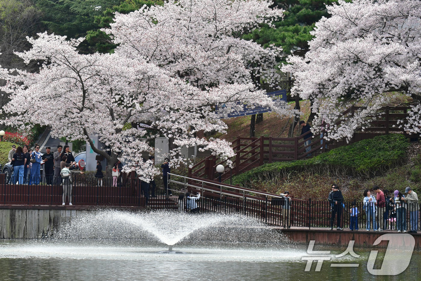 (포항=뉴스1) 최창호 기자 = 5일 경북 포항시 남구 지곡동 영일대 호수공원에서 시민들이 벚꽃나무 아래에서 휴일을 보내고 있다. 2026.4.5/뉴스1