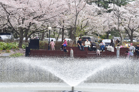 평온한 봄 오후
