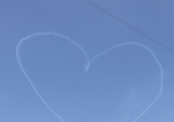 가족과 함께 '봄꽃축제'