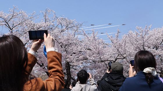 벚꽃 위로 비행하는 블랙이글스