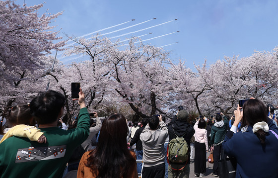 벚꽃과 블랙이글스