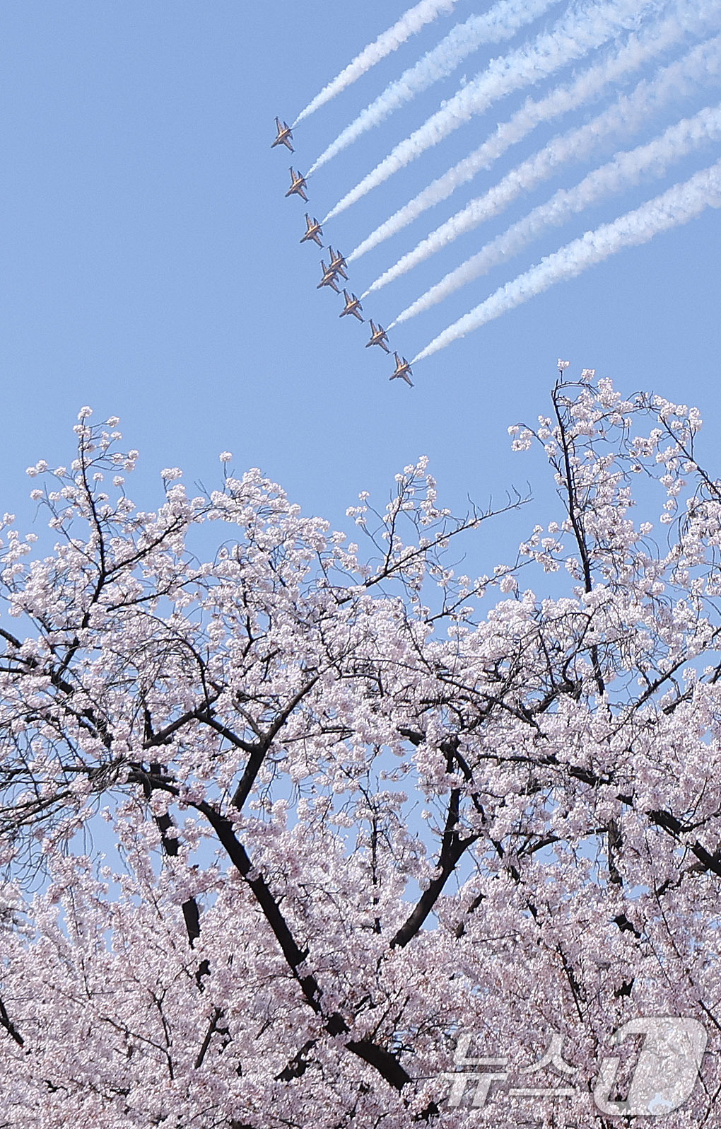 (서울=뉴스1) 박지혜 기자 = 5일 오후 서울 여의도 봄꽃축제 메인 행사장 상공에서 공군 특수 비행팀 ‘블랙이글스’가 축하 비행을 펼치고 있다. 2026.4.5/뉴스1