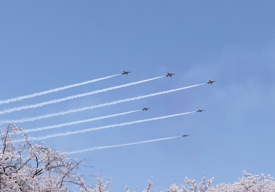 블랙이글스와 벚꽃