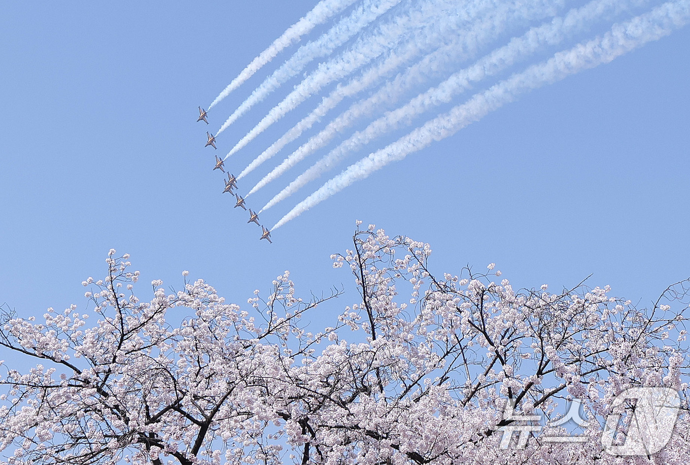(서울=뉴스1) 박지혜 기자 = 5일 오후 서울 여의도 봄꽃축제 메인 행사장 상공에서 공군 특수 비행팀 ‘블랙이글스’가 축하 비행을 펼치고 있다. 2026.4.5/뉴스1