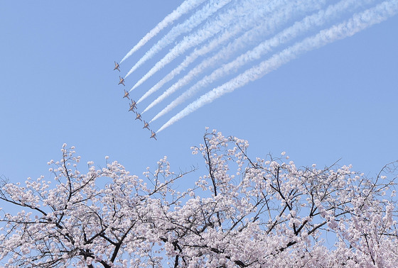 벚꽃 하늘 수 놓는 블랙이글스