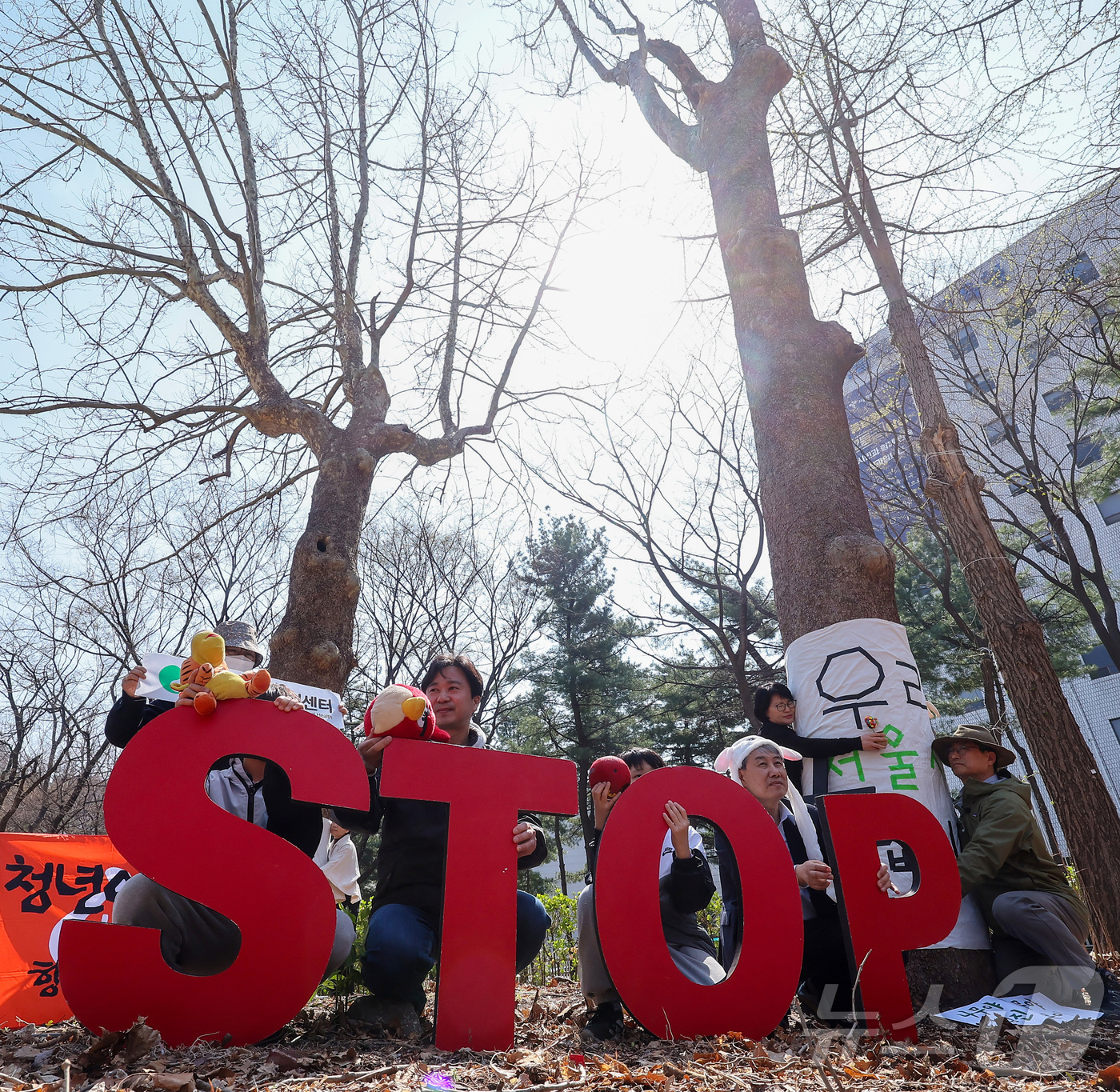 (서울=뉴스1) 김성진 기자 = 식목일을 맞은 5일 서울 종로구 경희궁 숭정문에서 환경보건시민센터와 서울환경연합 관계자들이 나무보호 캠페인 '나무야 나무야, 미안해'를 하고 있다. …
