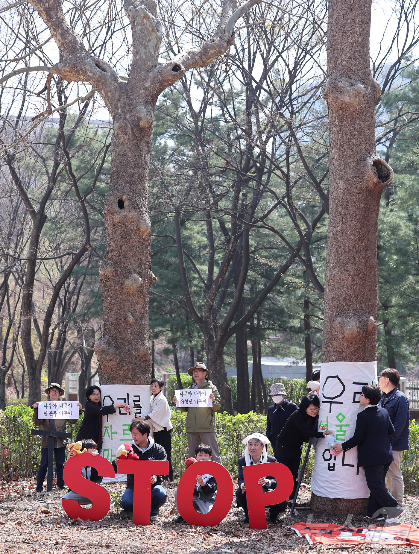 (서울=뉴스1) 김성진 기자 = 식목일을 맞은 5일 서울 종로구 경희궁 숭정문에서 환경보건시민센터와 서울환경연합 관계자들이 나무보호 캠페인 '나무야 나무야, 미안해'를 하고 있다. …