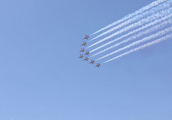 봄하늘과 블랙이글스