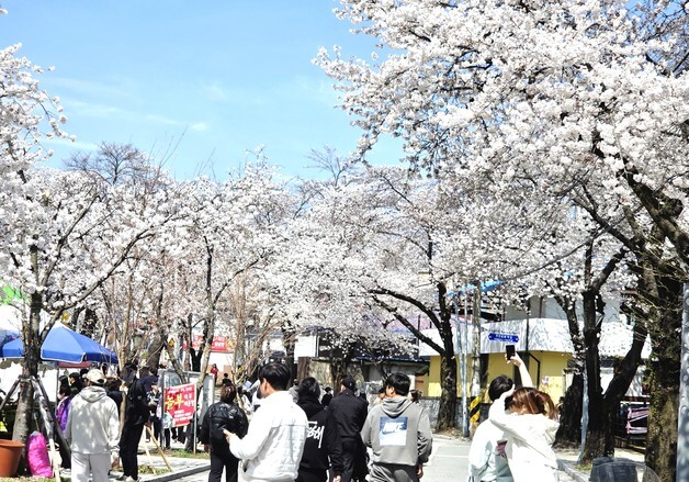 [오늘의 날씨] 충북·세종(6일, 월)…오후부터 맑음, 낮 최고 16도