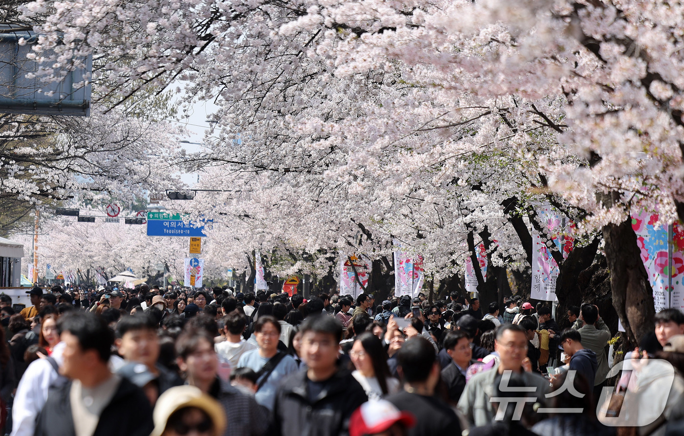 (서울=뉴스1) 박지혜 기자 = 5일 오후 서울 영등포구 윤중로 여의도 봄꽃축제를 찾은 시민들이 벚꽃길을 걸으며 봄날씨를 만끽하고 있다. 2026.4.5/뉴스1