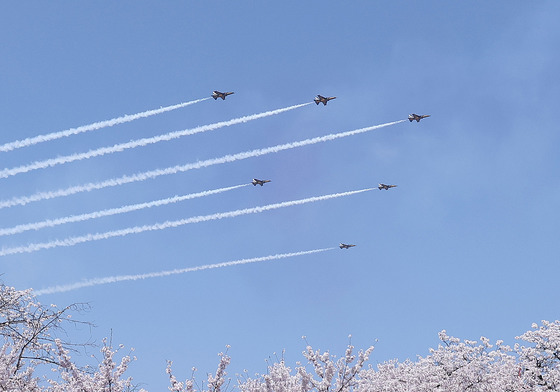 봄 벚꽃 그리고 블랙이글스