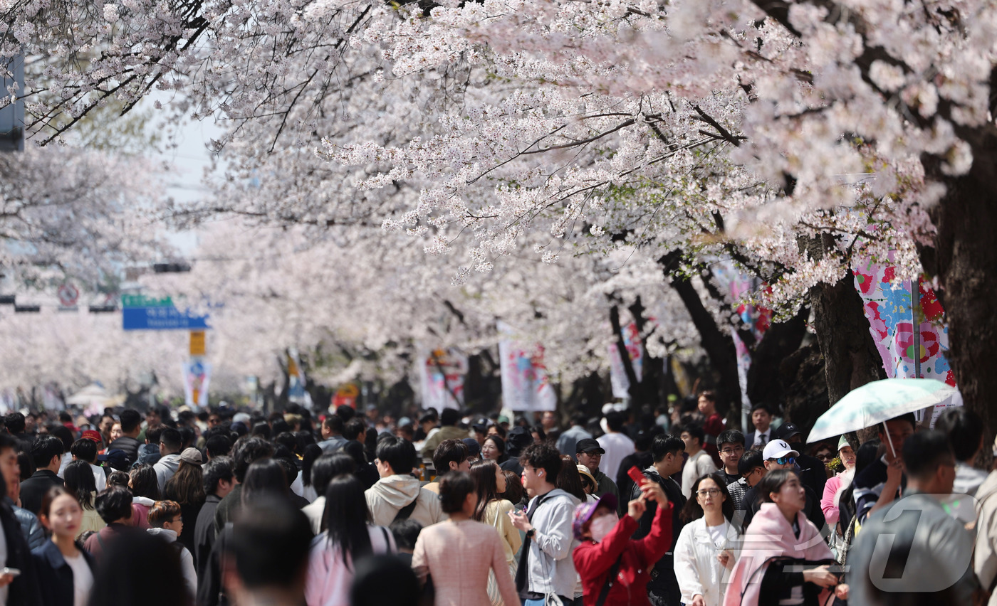 (서울=뉴스1) 박지혜 기자 = 5일 오후 서울 영등포구 윤중로 여의도 봄꽃축제를 찾은 시민들이 봄날씨를 만끽하고 있다. 2026.4.5/뉴스1