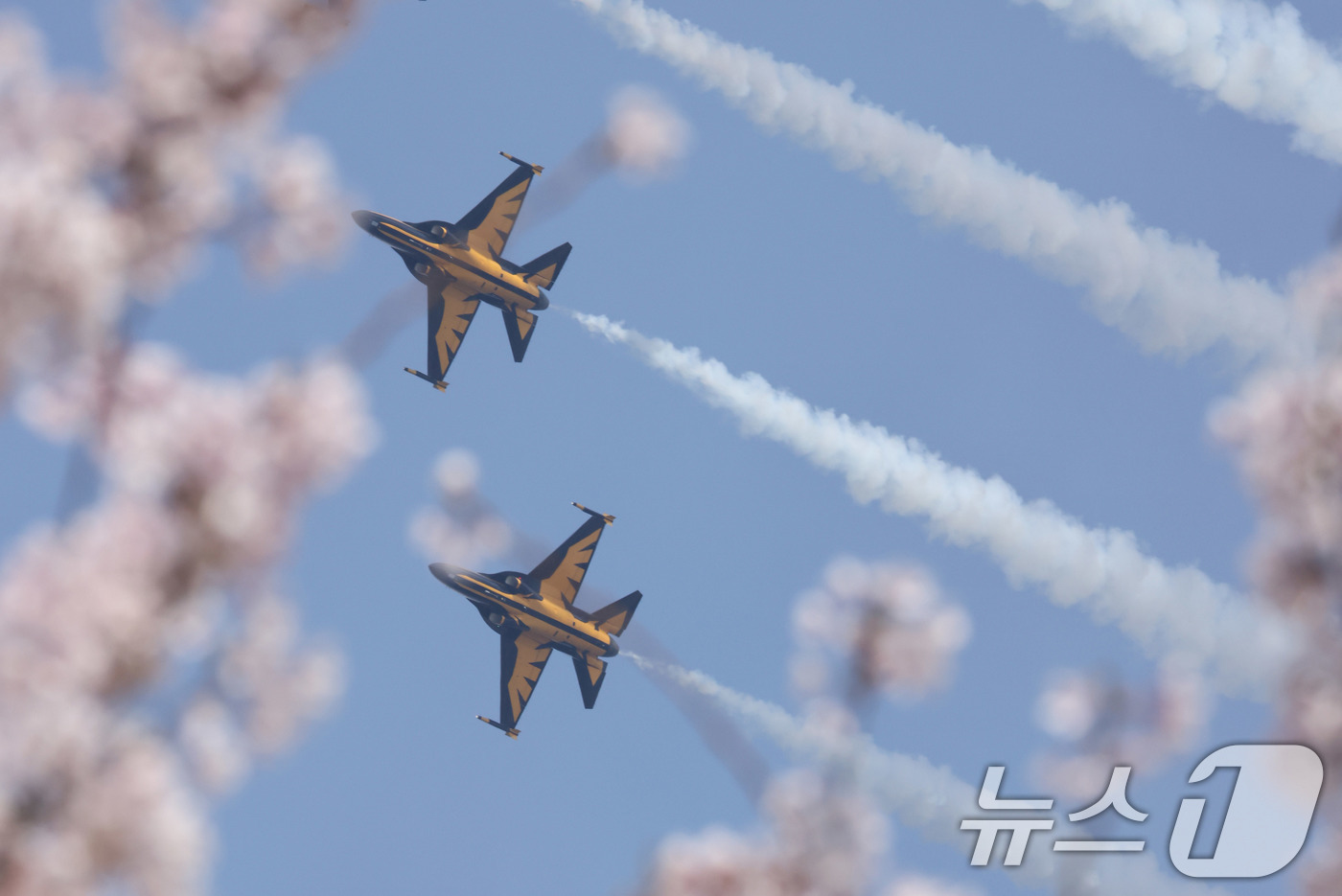 (서울=뉴스1) 최지환 기자 = 5일 오후 서울 여의도 봄꽃축제 메인 행사장 상공에서 공군 특수 비행팀 ‘블랙이글스’가 축하 비행을 펼치고 있다. 2026.4.5/뉴스1