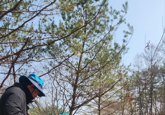 "나무심기, 이젠 3월 안에 끝내야"…기후변화가 바꾼 식목일 풍경