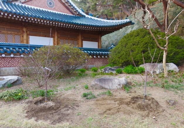 李대통령 "혹독한 겨울 지나면 봄…다시 희망 퍼지도록 최선"